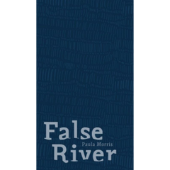 False River: Stories/Essays/Secret Histories