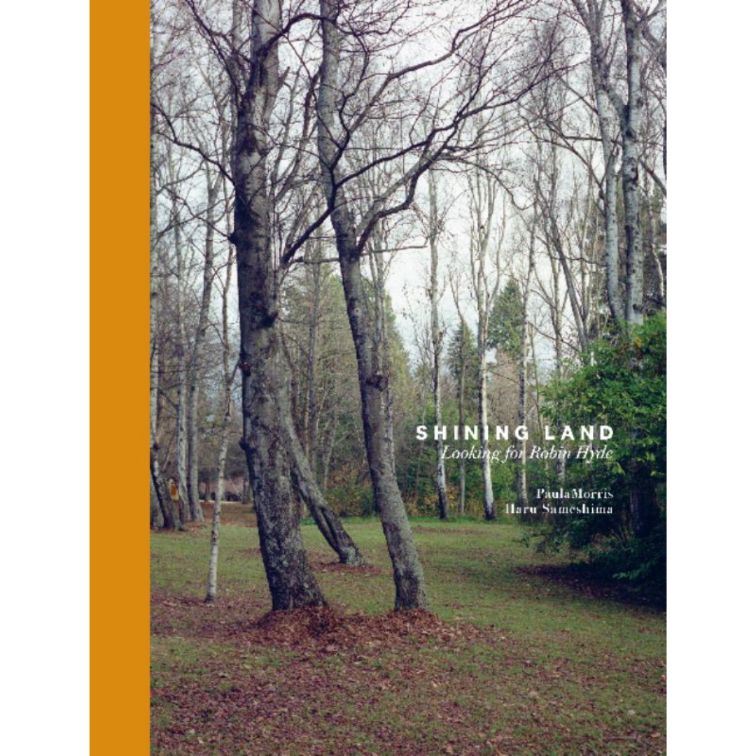 Shining Land: Looking for Robin Hyde (Korero Series)